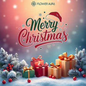 merry christmas wishes